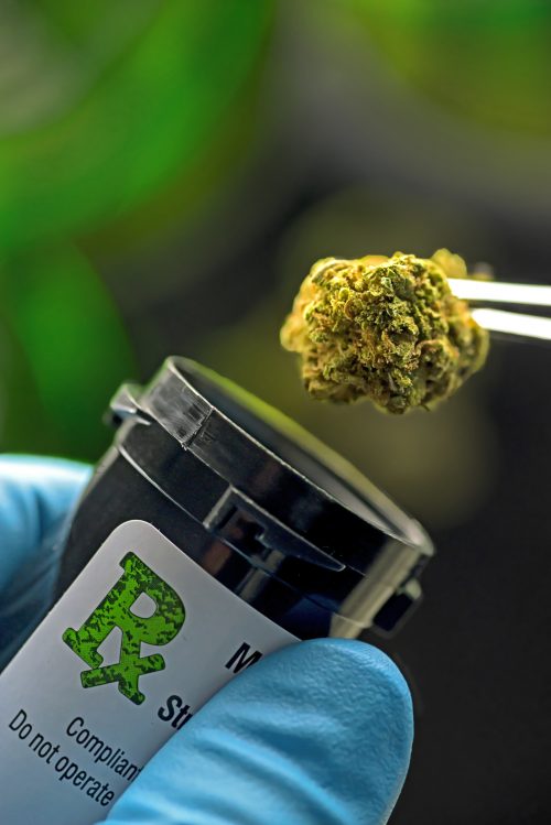 medical marijuana law medical marijuana law